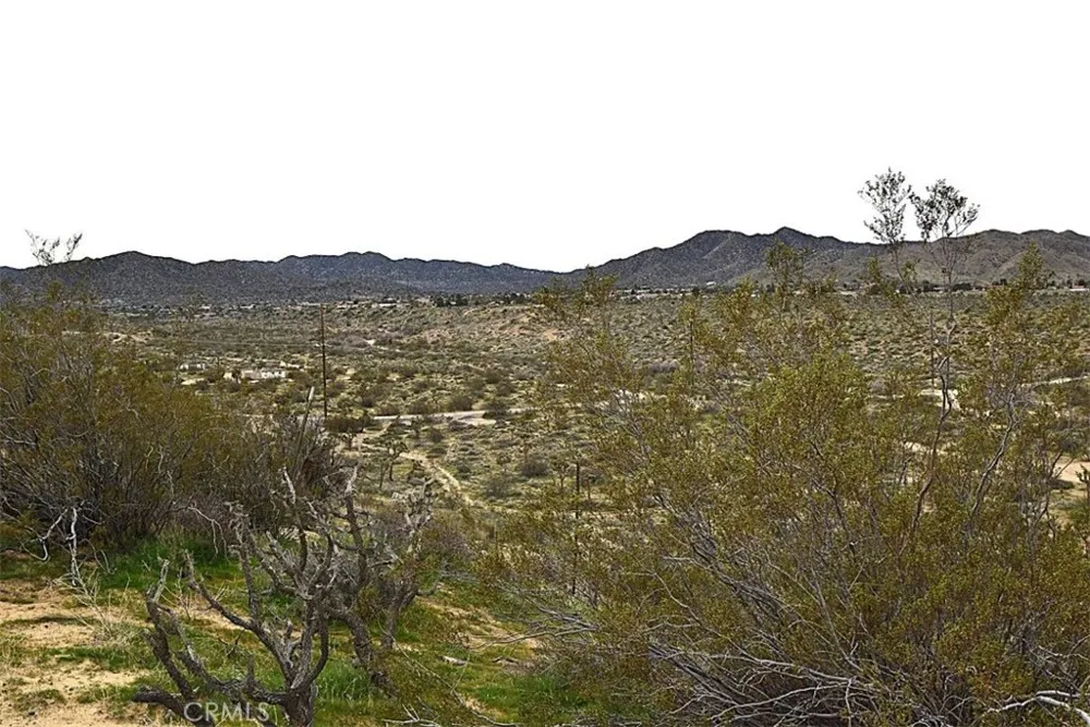 8425 Indio Avenue Yucca Valley, CA 92284