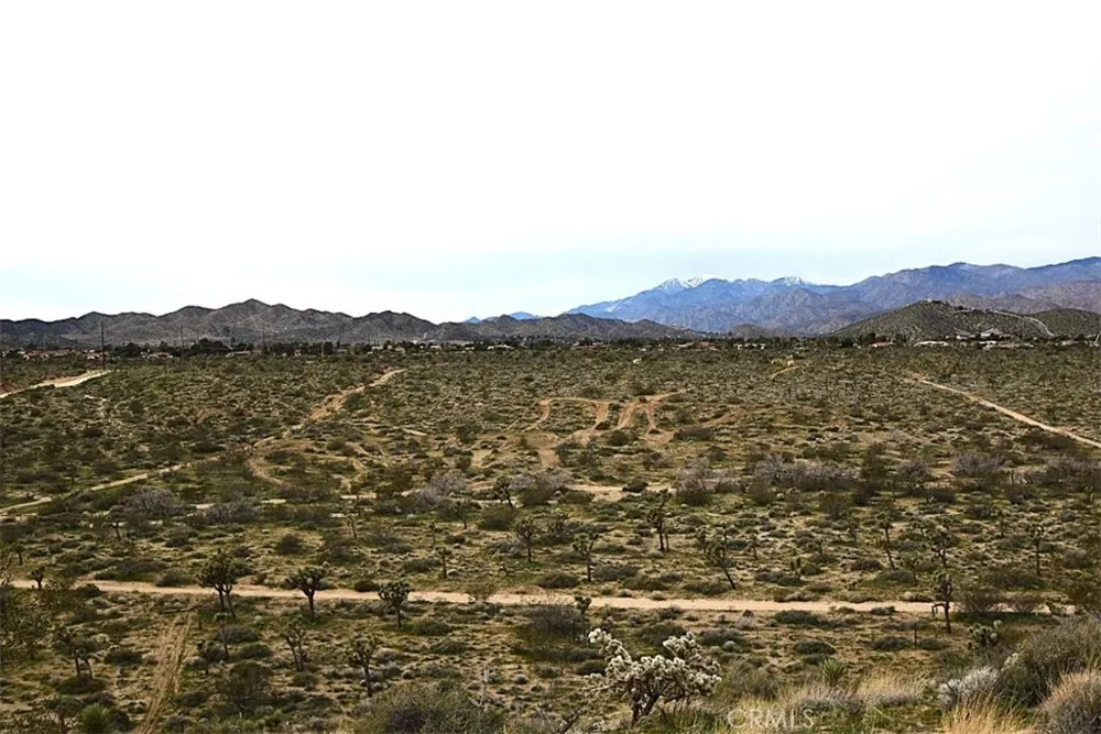8425 Indio Avenue Yucca Valley, CA 92284