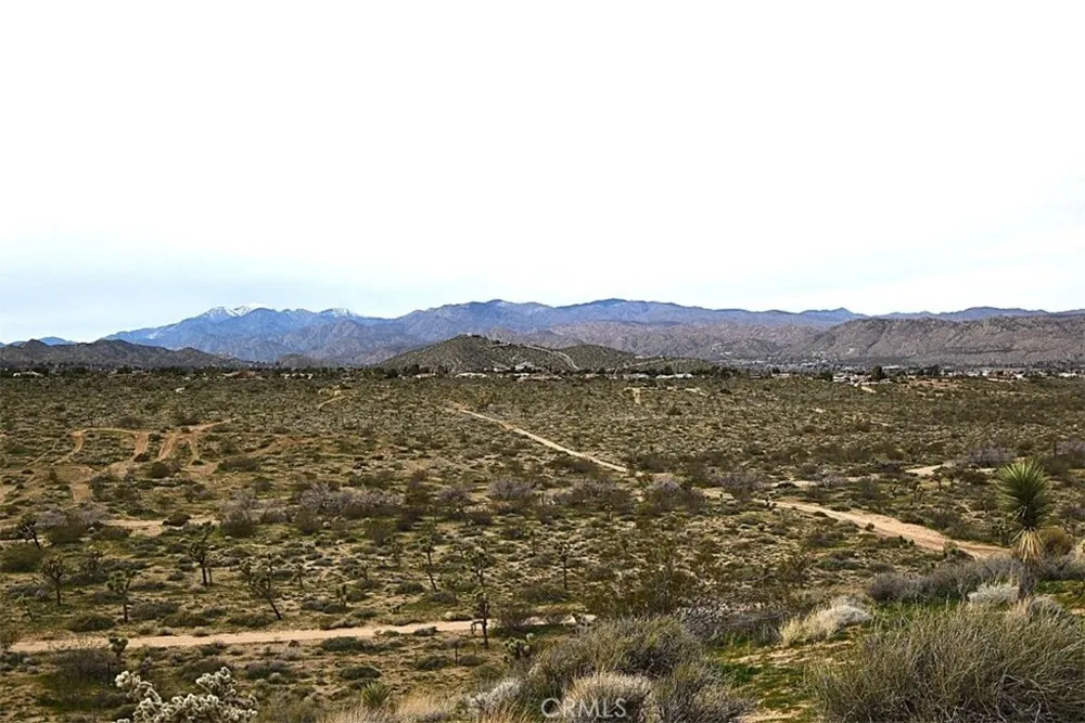 8425 Indio Avenue Yucca Valley, CA 92284