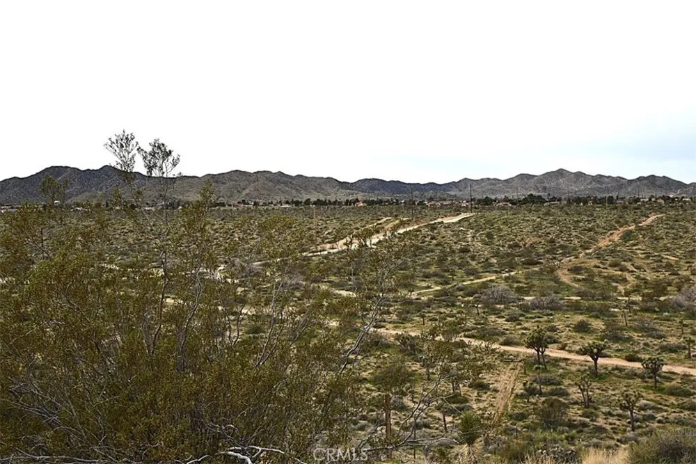 8425 Indio Avenue Yucca Valley, CA 92284
