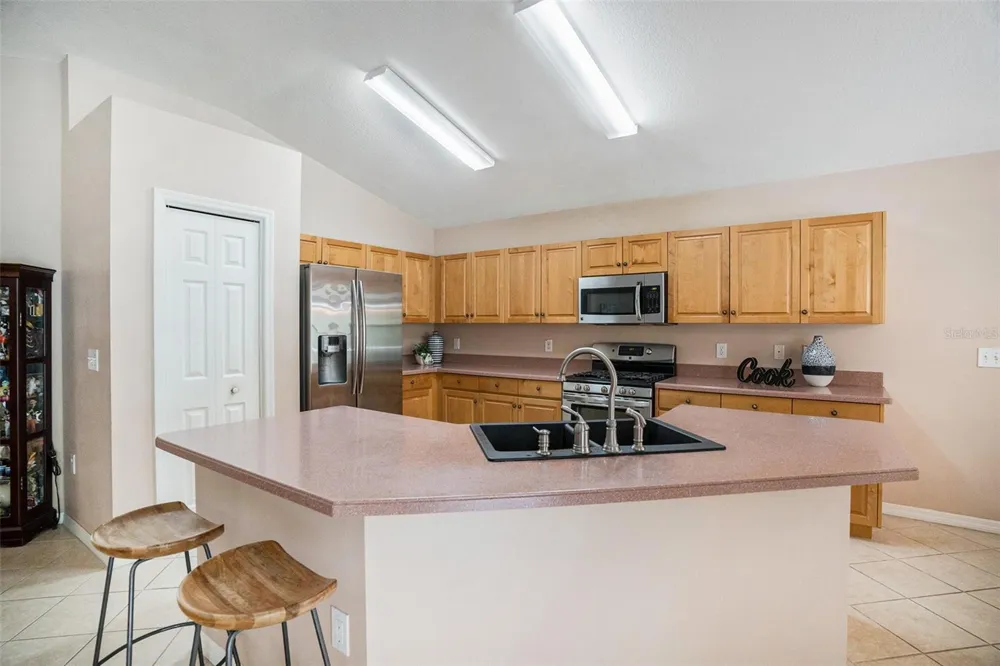 2132 RENSSELAER DRIVE Wesley Chapel, FL 33543