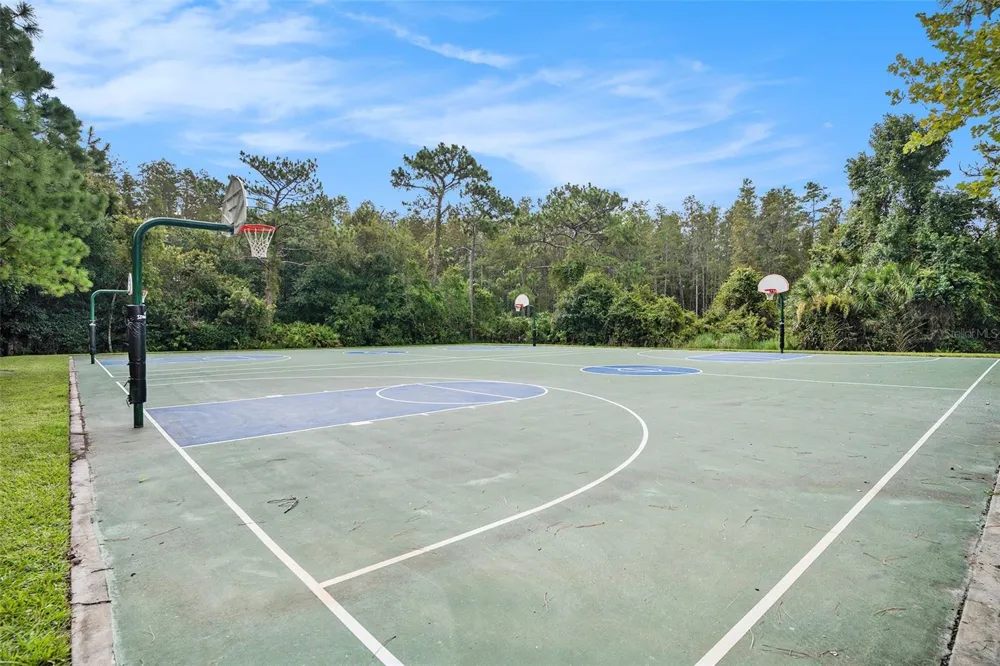 2132 RENSSELAER DRIVE Wesley Chapel, FL 33543