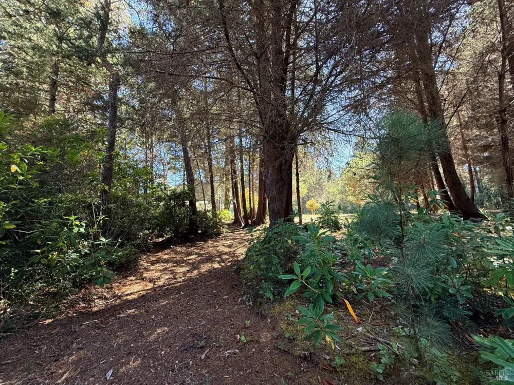 31290 Thomas Lane Fort Bragg, CA 95437