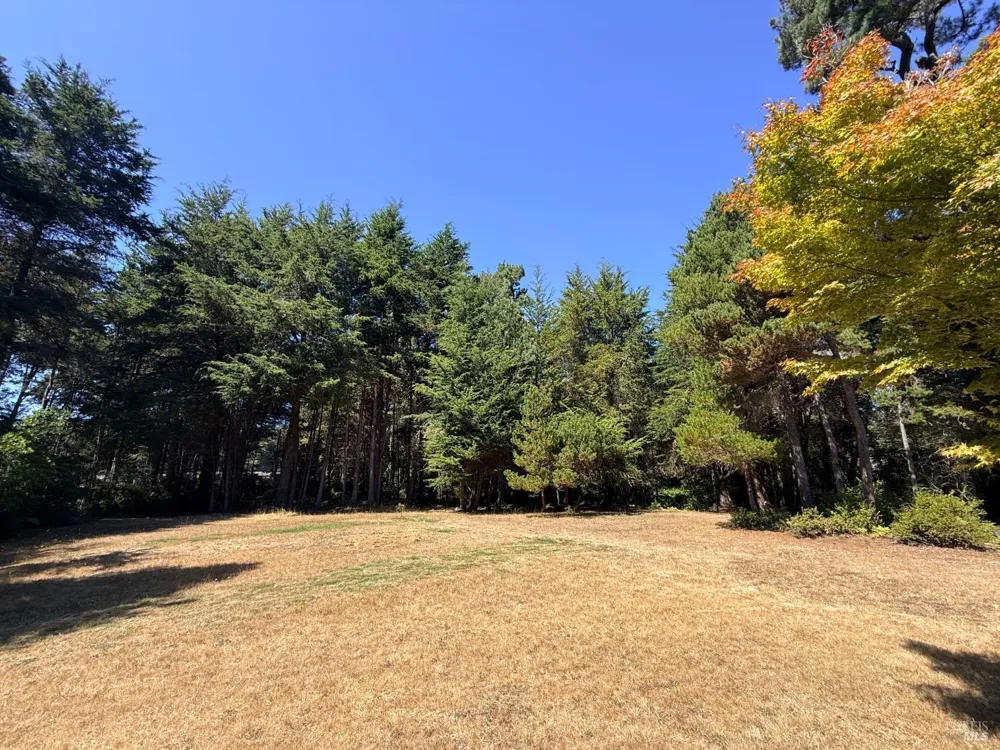 31290 Thomas Lane Fort Bragg, CA 95437