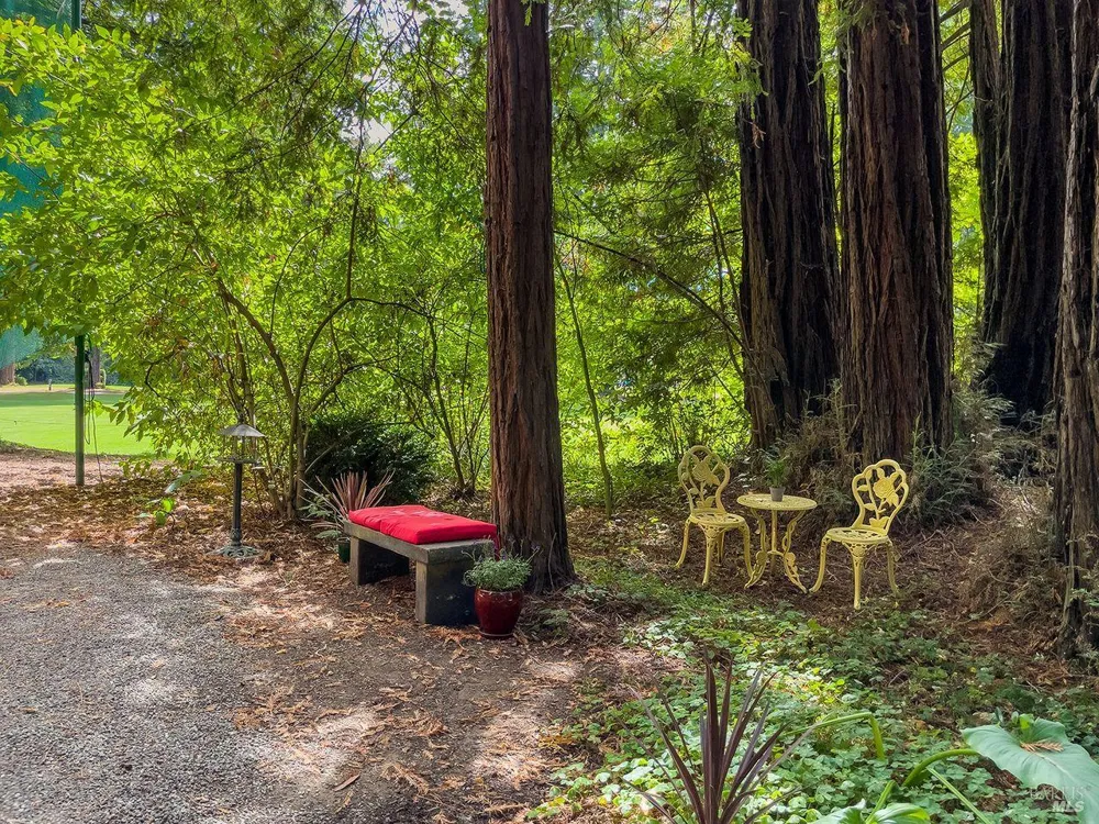 19436 Redwood Drive Monte Rio, CA 95462