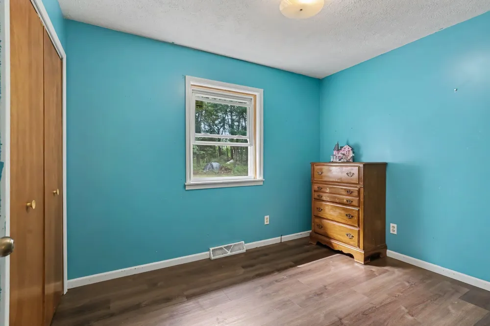 5910 Pine Court Montcalm Township, MI 48838