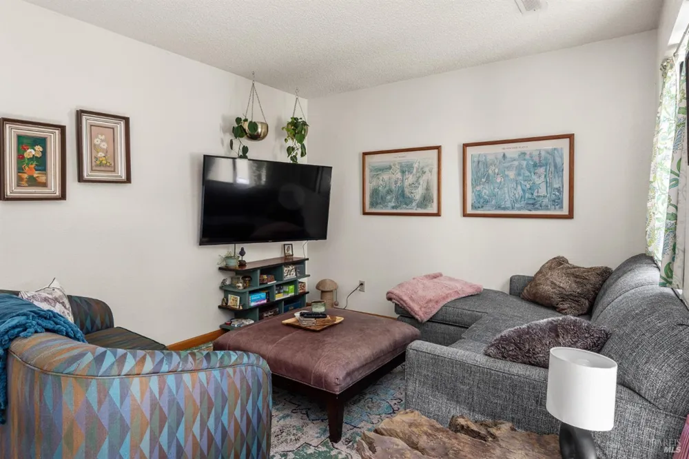 88 Park Place Drive Petaluma, CA 94954