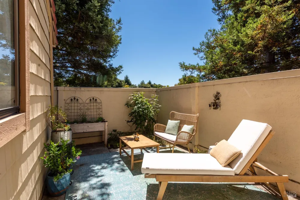 88 Park Place Drive Petaluma, CA 94954