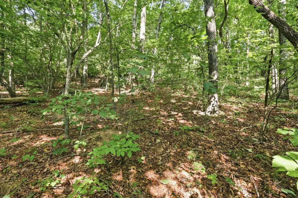 Old Rocky Trail Rising Fawn, GA 30738