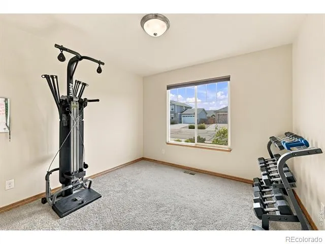 4228 Cypress Ridge Lane Wellington, CO 80549