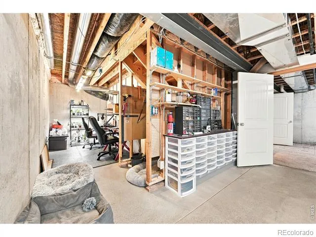 4228 Cypress Ridge Lane Wellington, CO 80549