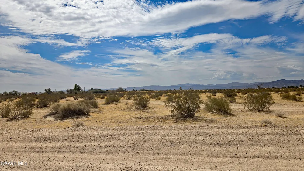 Riverside Rd Newberry Springs, CA 92365