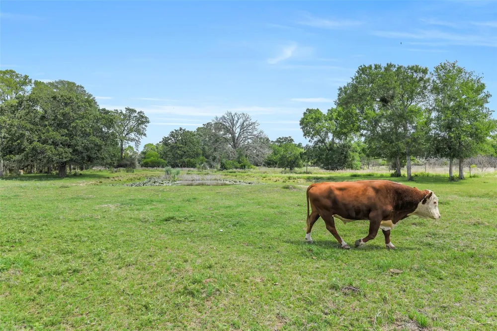 41545 Fm 3346 Road Hempstead, TX 77445