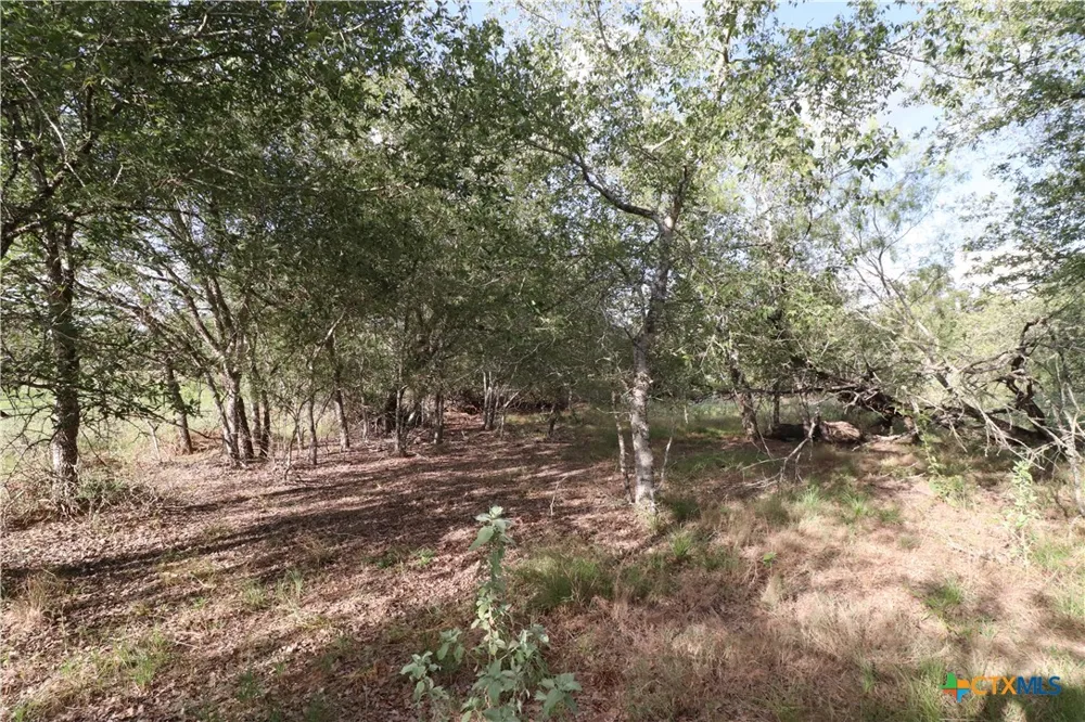 5668 State Highway 97 Floresville, TX 78114