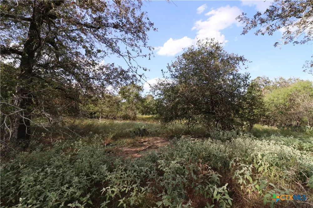 5668 State Highway 97 Floresville, TX 78114