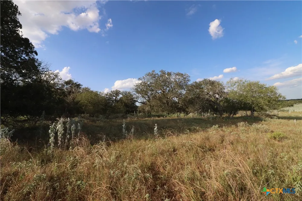 5668 State Highway 97 Floresville, TX 78114