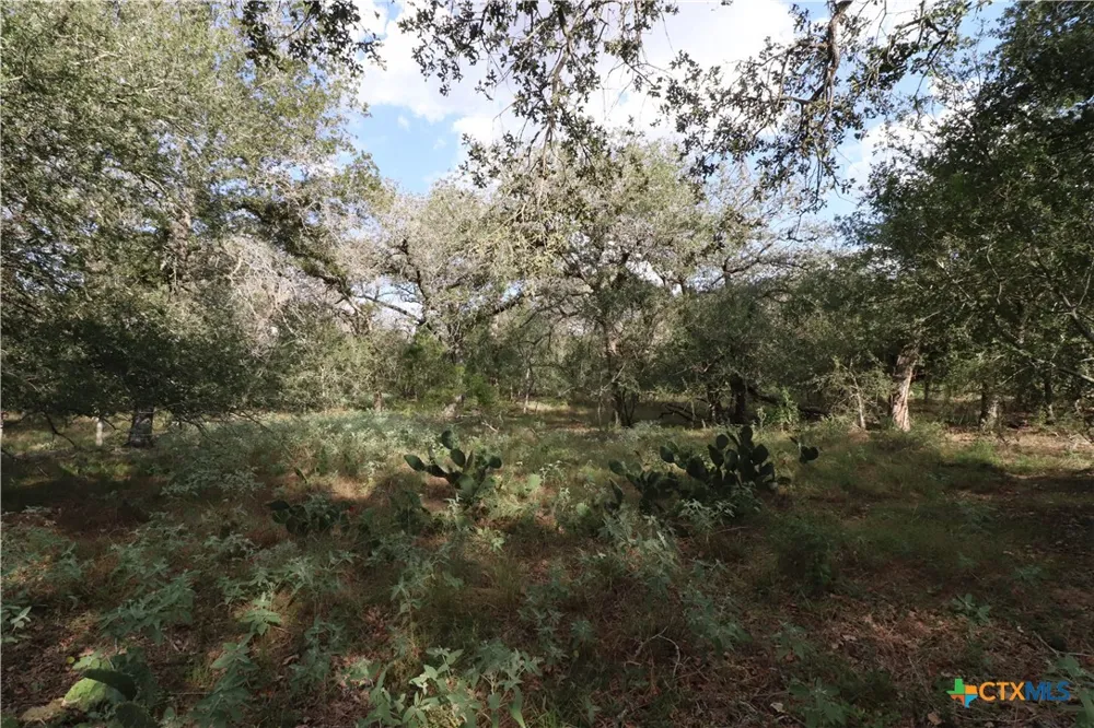 5668 State Highway 97 Floresville, TX 78114