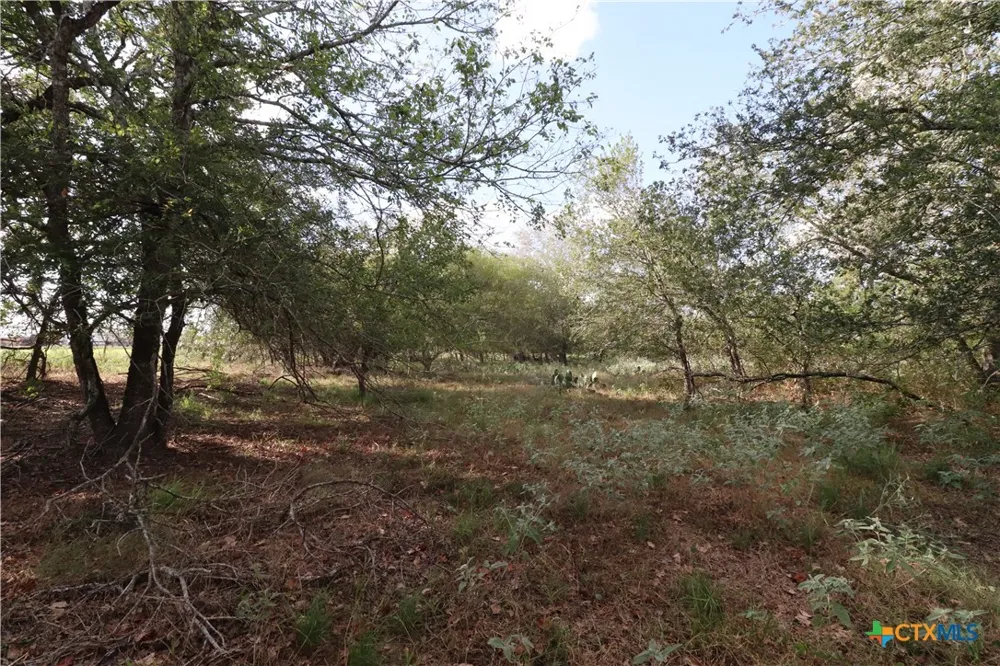 5668 State Highway 97 Floresville, TX 78114