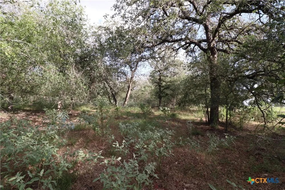 5668 State Highway 97 Floresville, TX 78114