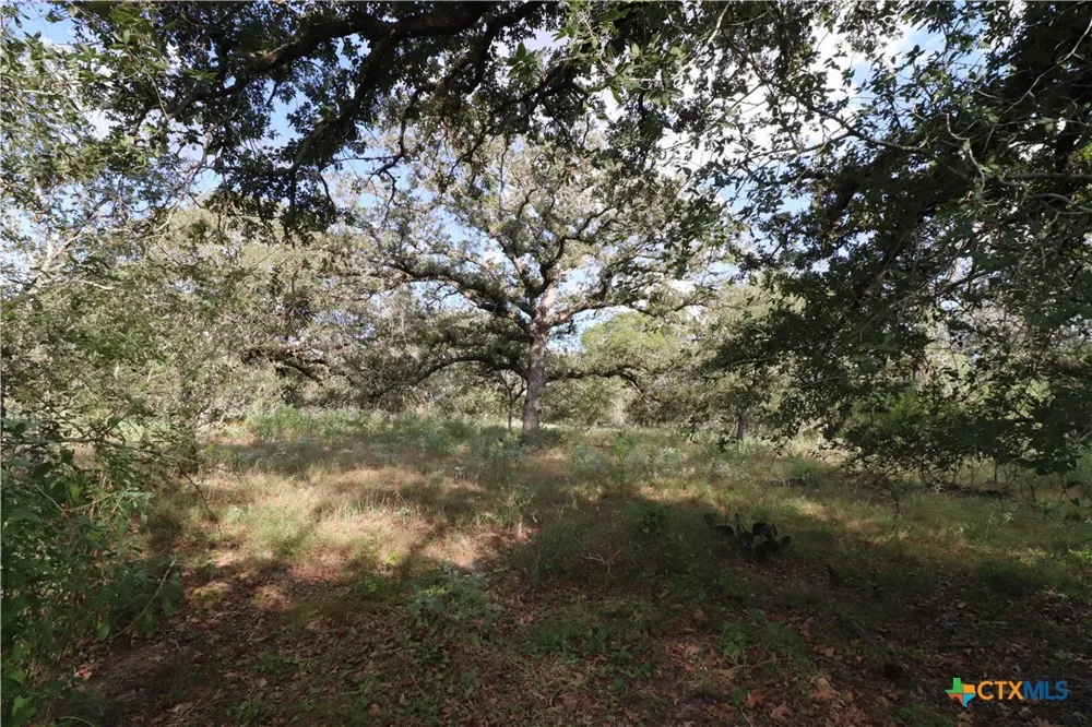 5668 State Highway 97 Floresville, TX 78114