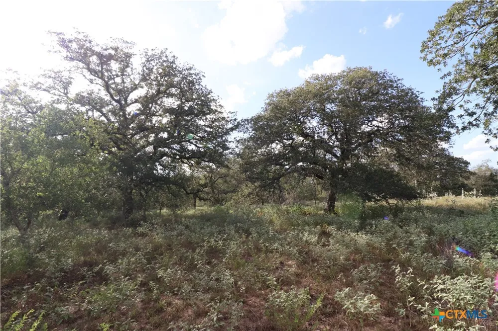 5668 State Highway 97 Floresville, TX 78114