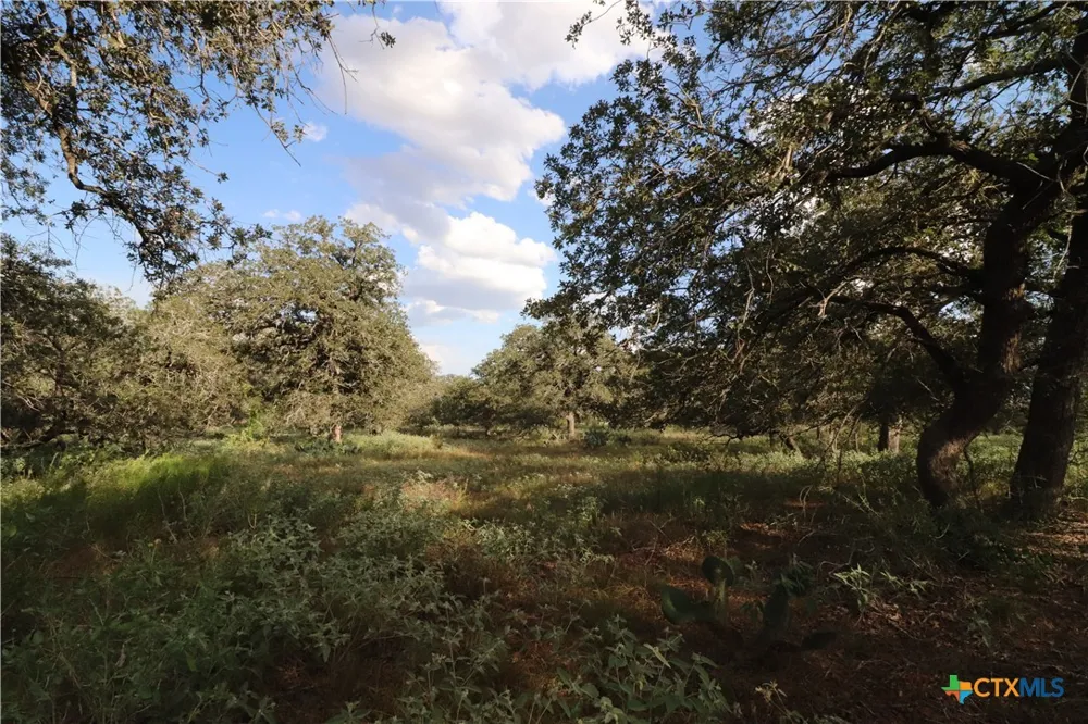 5668 State Highway 97 Floresville, TX 78114