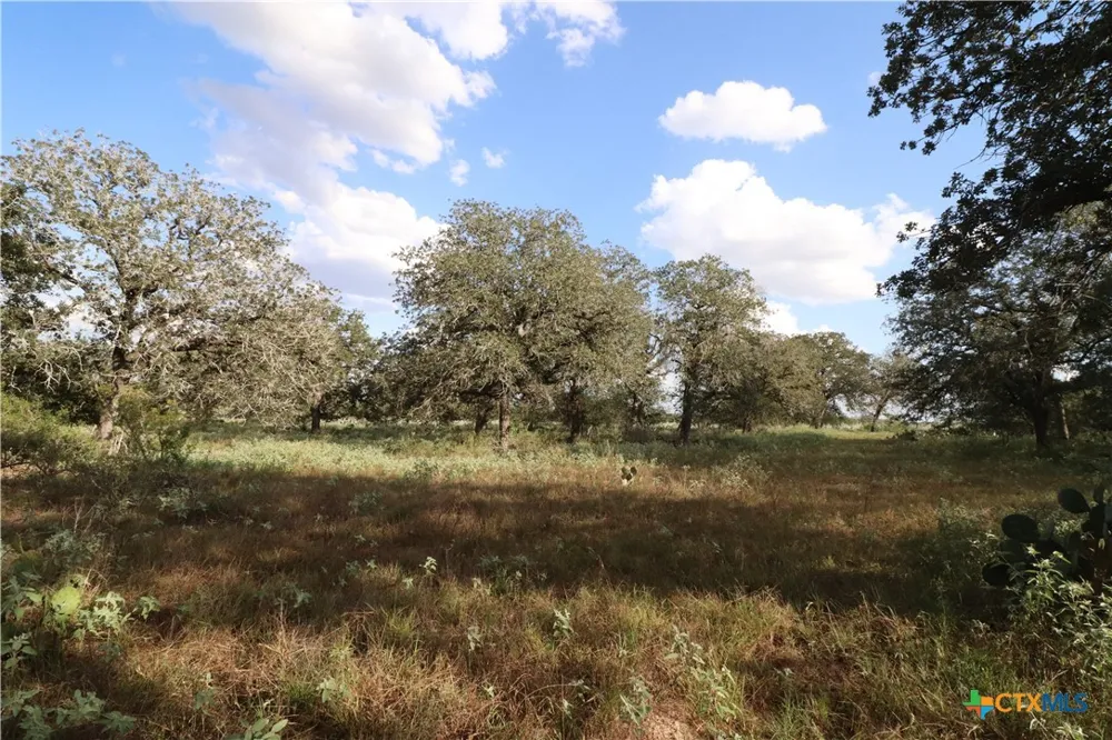 5668 State Highway 97 Floresville, TX 78114