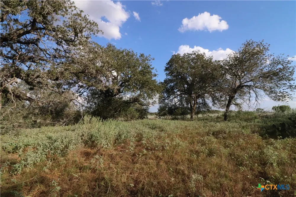 5668 State Highway 97 Floresville, TX 78114
