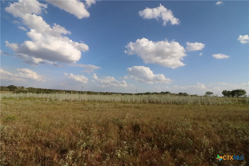 5668 State Highway 97 Floresville, TX 78114