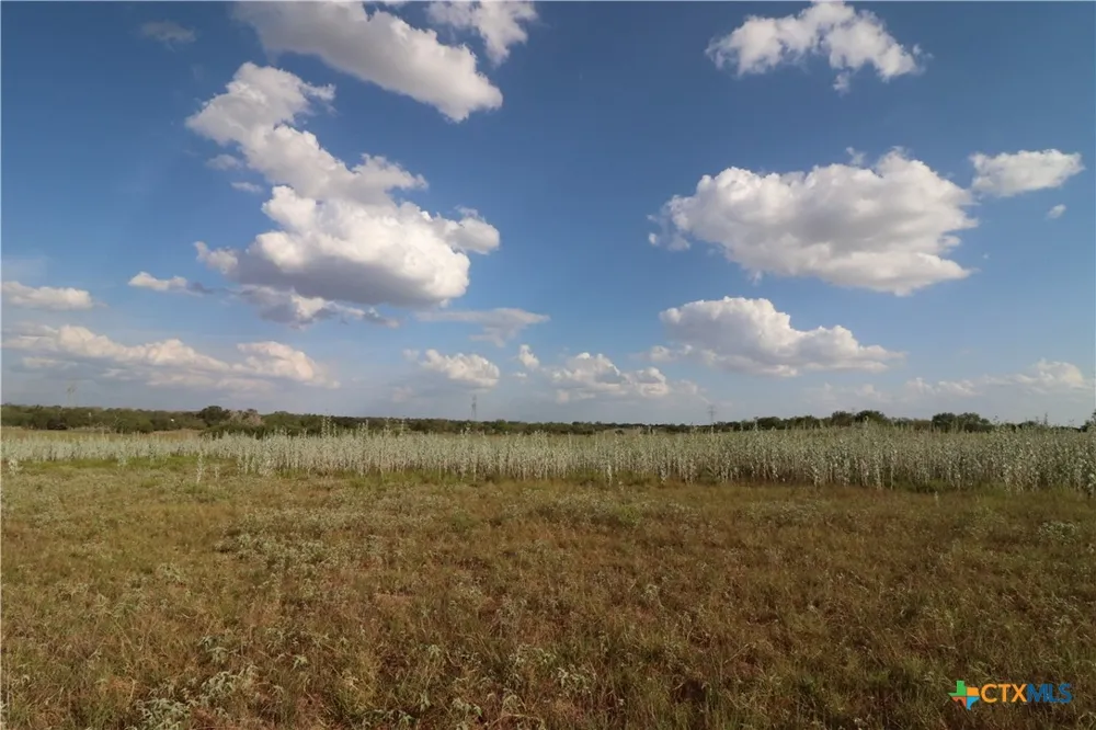 5668 State Highway 97 Floresville, TX 78114