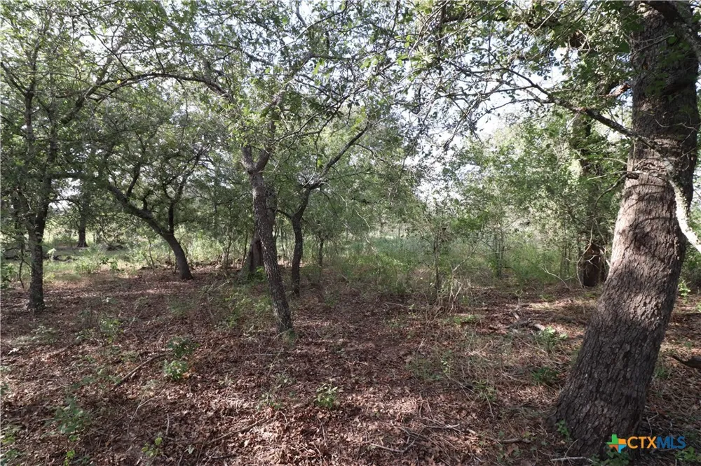5668 State Highway 97 Floresville, TX 78114