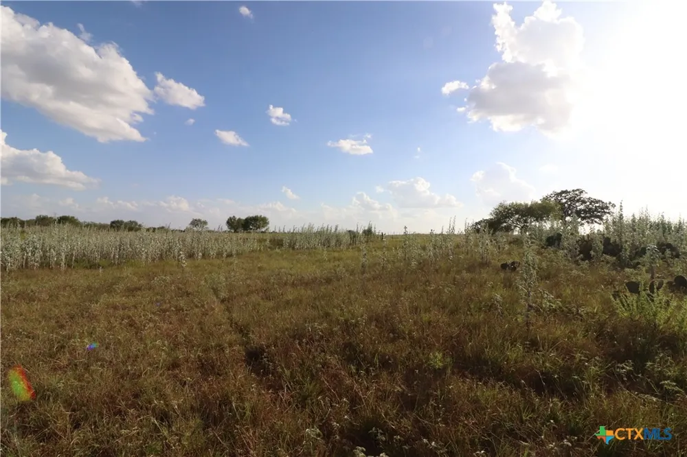 5668 State Highway 97 Floresville, TX 78114