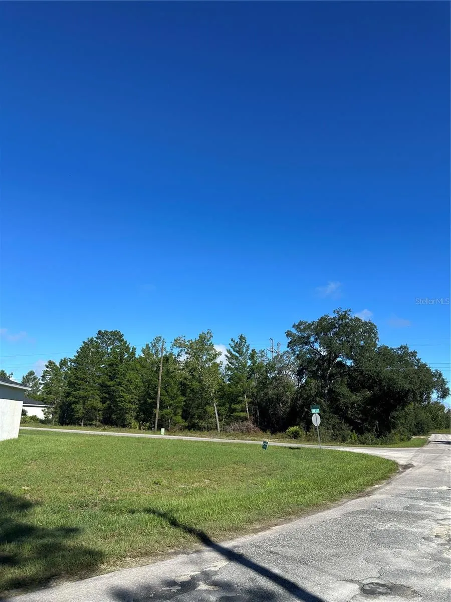 14 FISHER COURT Ocklawaha, FL 32179