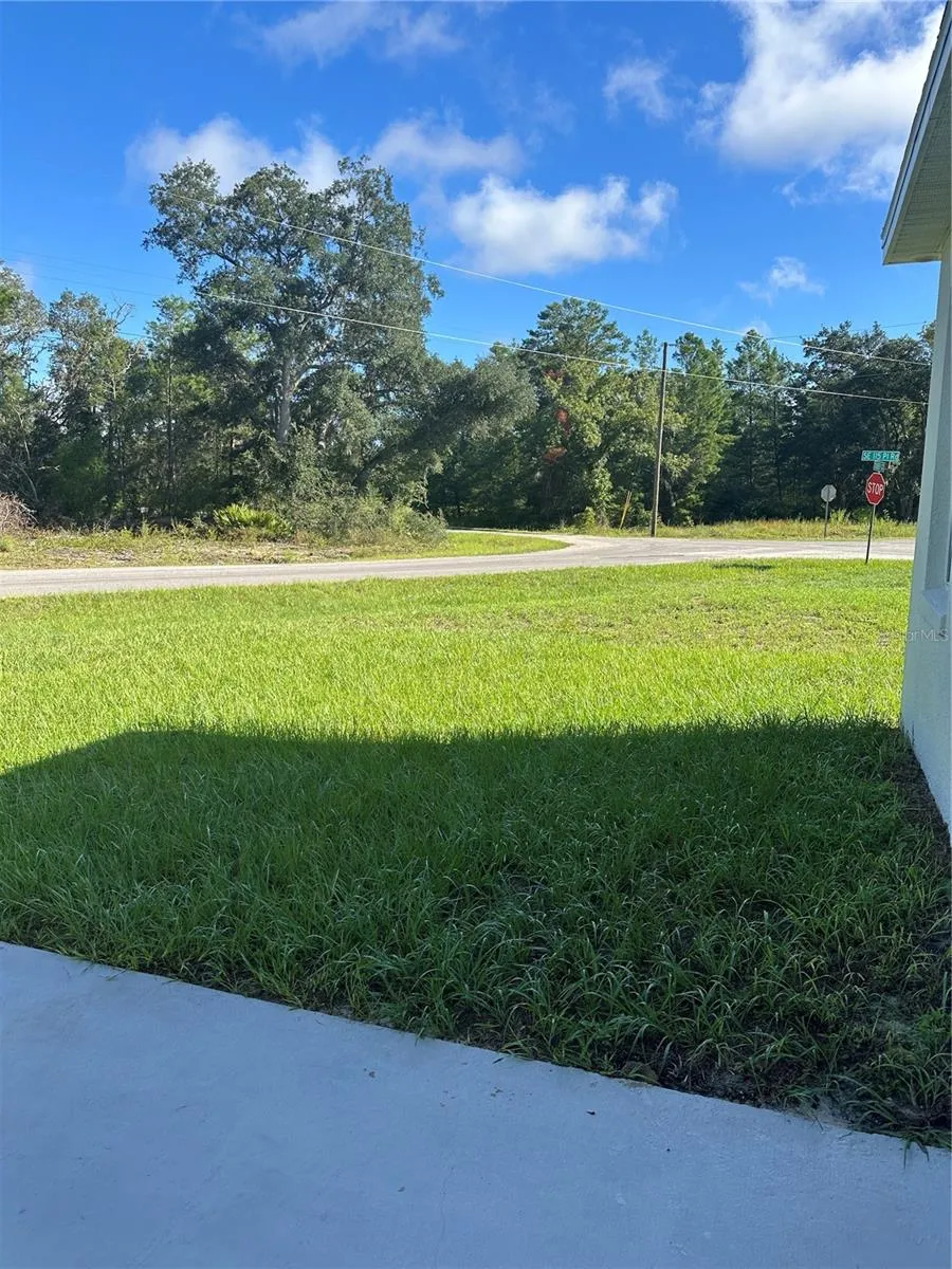 14 FISHER COURT Ocklawaha, FL 32179