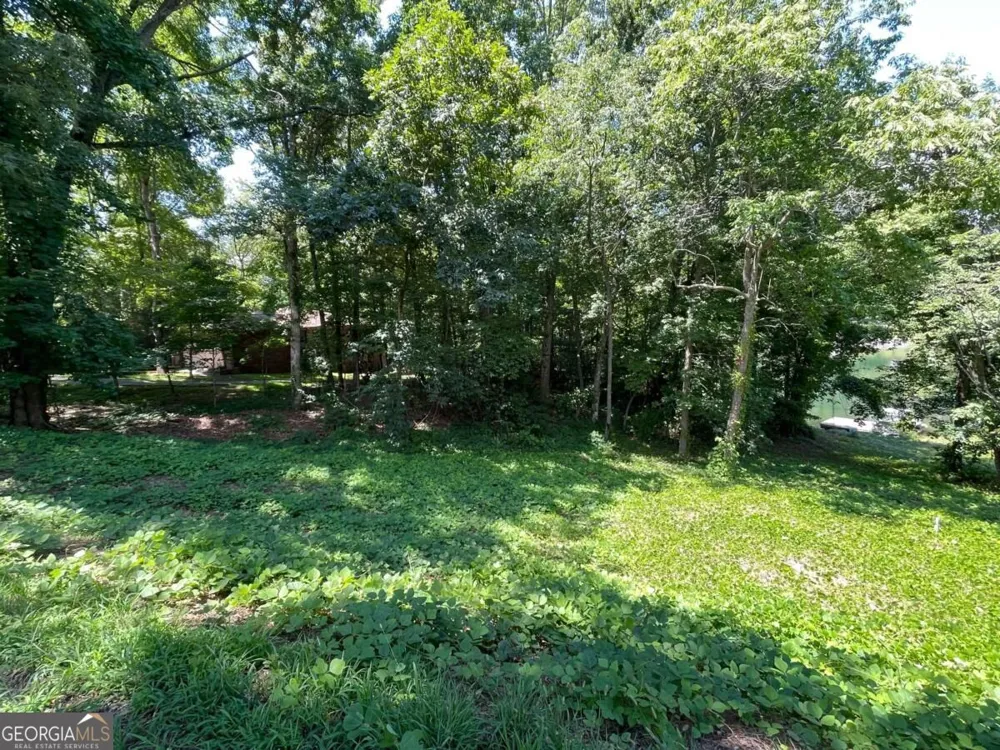 LOT 5 Old Hwy 64 E Hayesville, NC 28904