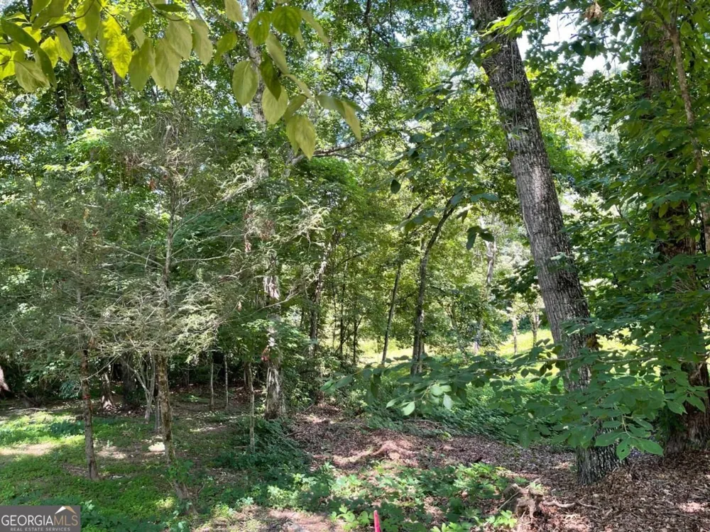 LOT 5 Old Hwy 64 E Hayesville, NC 28904