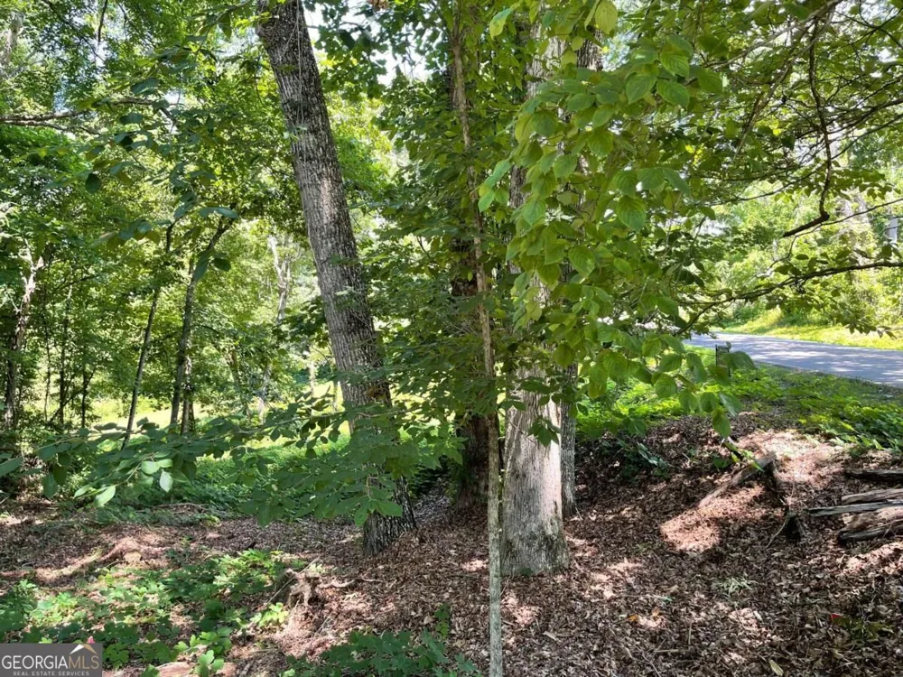 LOT 5 Old Hwy 64 E Hayesville, NC 28904