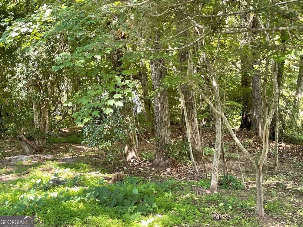 LOT 5 Old Hwy 64 E Hayesville, NC 28904
