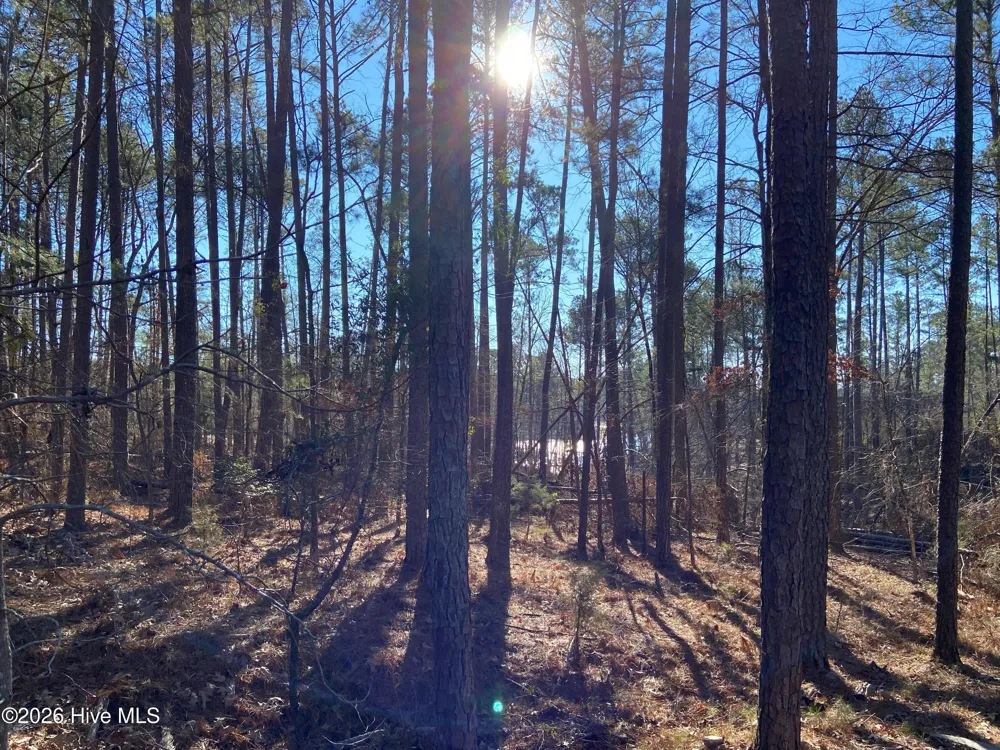 164 Savannah Drive Mccormick, SC 29835