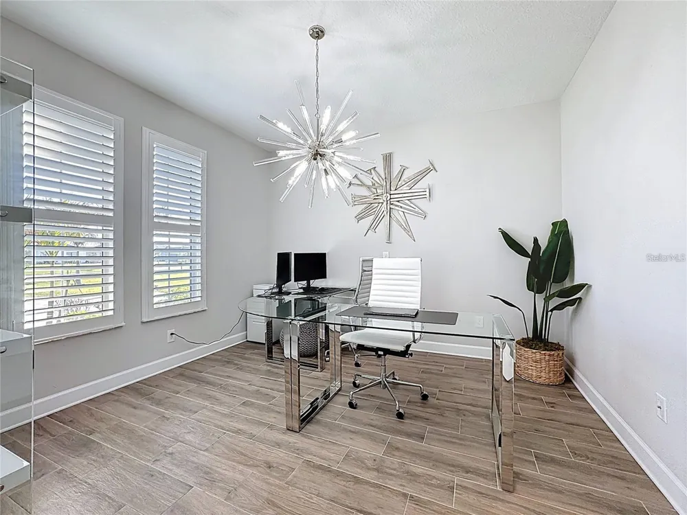 5216 LAKE VENICE DRIVE Wimauma, FL 33598