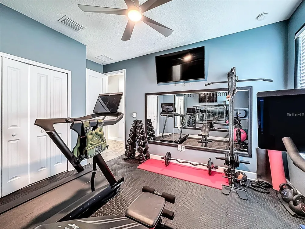 5216 LAKE VENICE DRIVE Wimauma, FL 33598