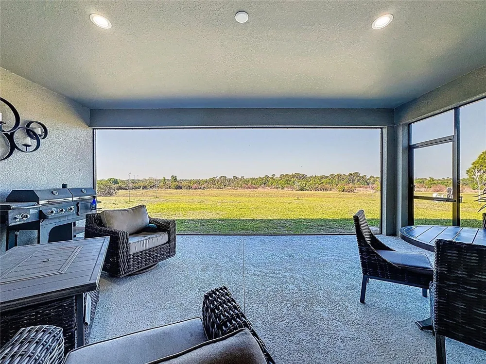 5216 LAKE VENICE DRIVE Wimauma, FL 33598