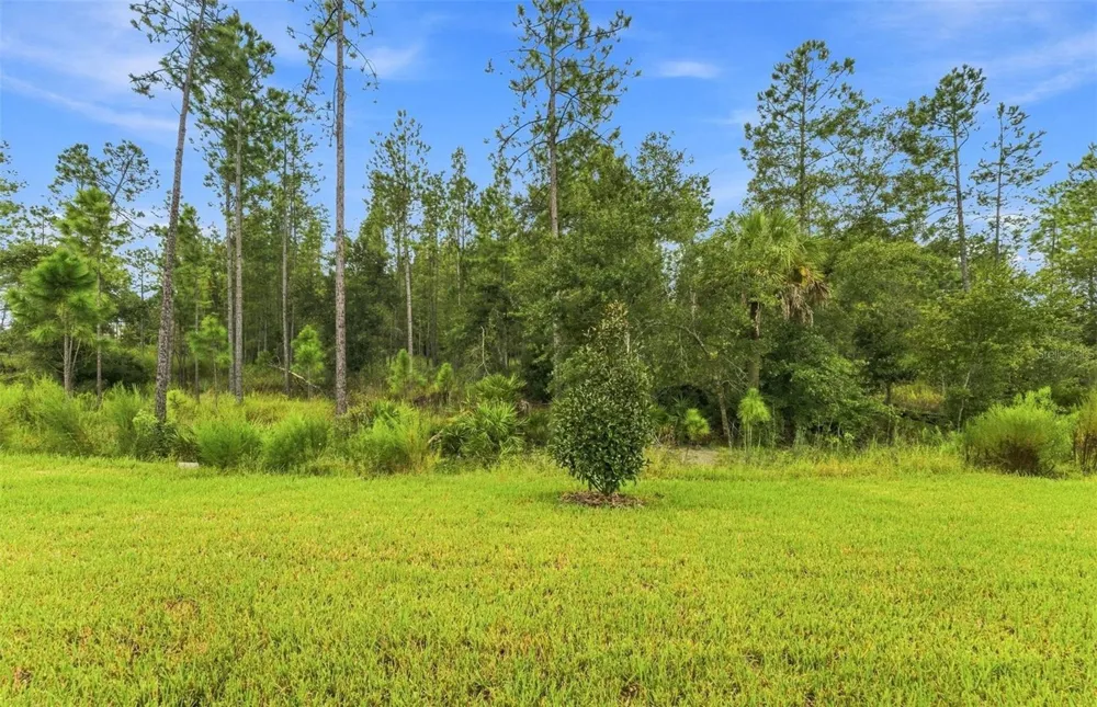 35224 COHAGEN TRAIL Zephyrhills, FL 33541