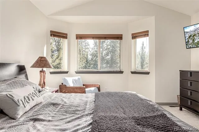 308 Red Hawk Circle Silverthorne, CO 80498