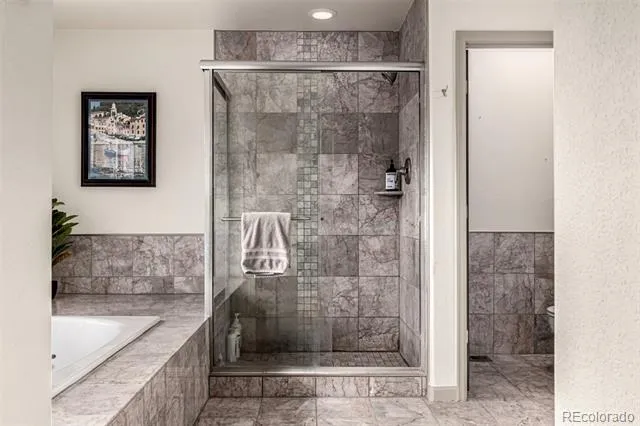 308 Red Hawk Circle Silverthorne, CO 80498