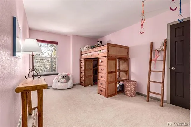 308 Red Hawk Circle Silverthorne, CO 80498
