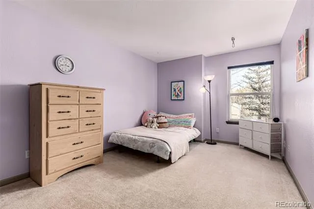 308 Red Hawk Circle Silverthorne, CO 80498