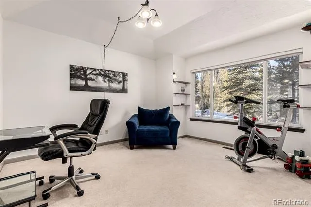 308 Red Hawk Circle Silverthorne, CO 80498
