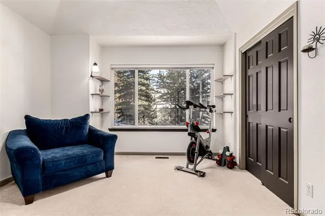 308 Red Hawk Circle Silverthorne, CO 80498