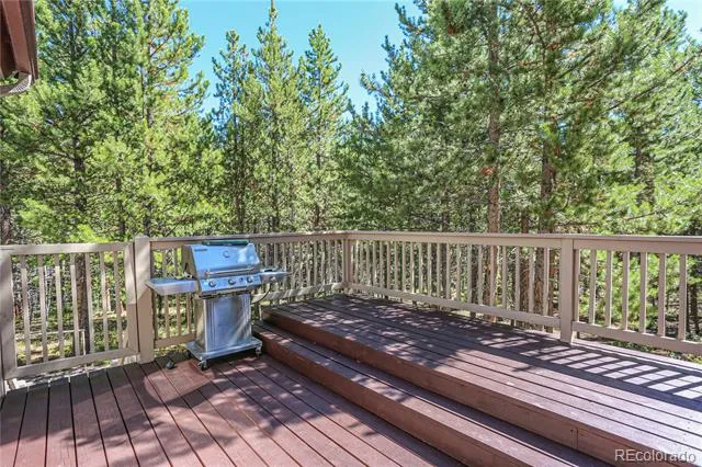 308 Red Hawk Circle Silverthorne, CO 80498